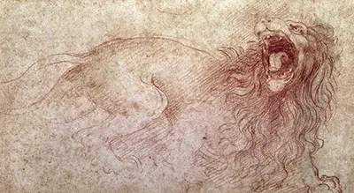 Schets van een brullende leeuw Leonardo da Vinci